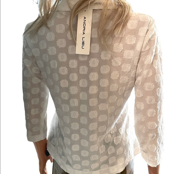 Andria Lieu Designer White Sheer Blouse Small - Picture 4 of 6